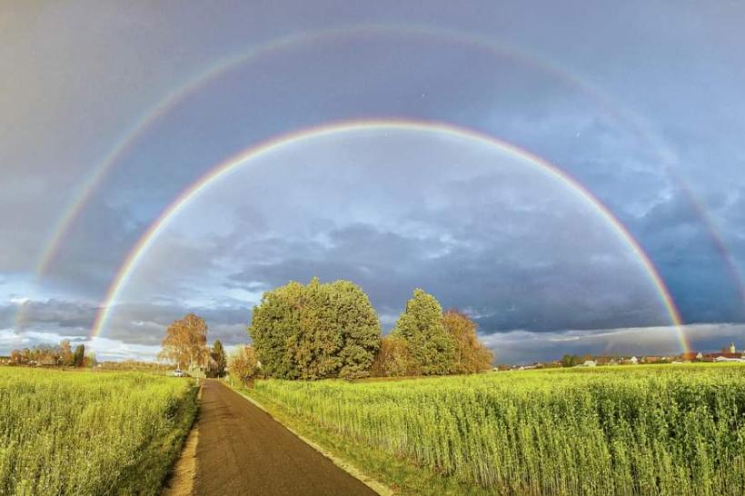 Regenbogen