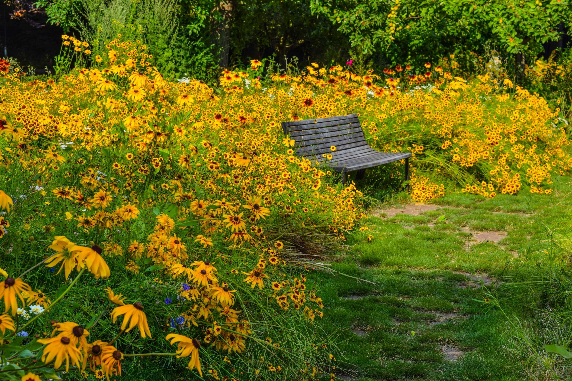 Blumengarten mit Ruheplatz