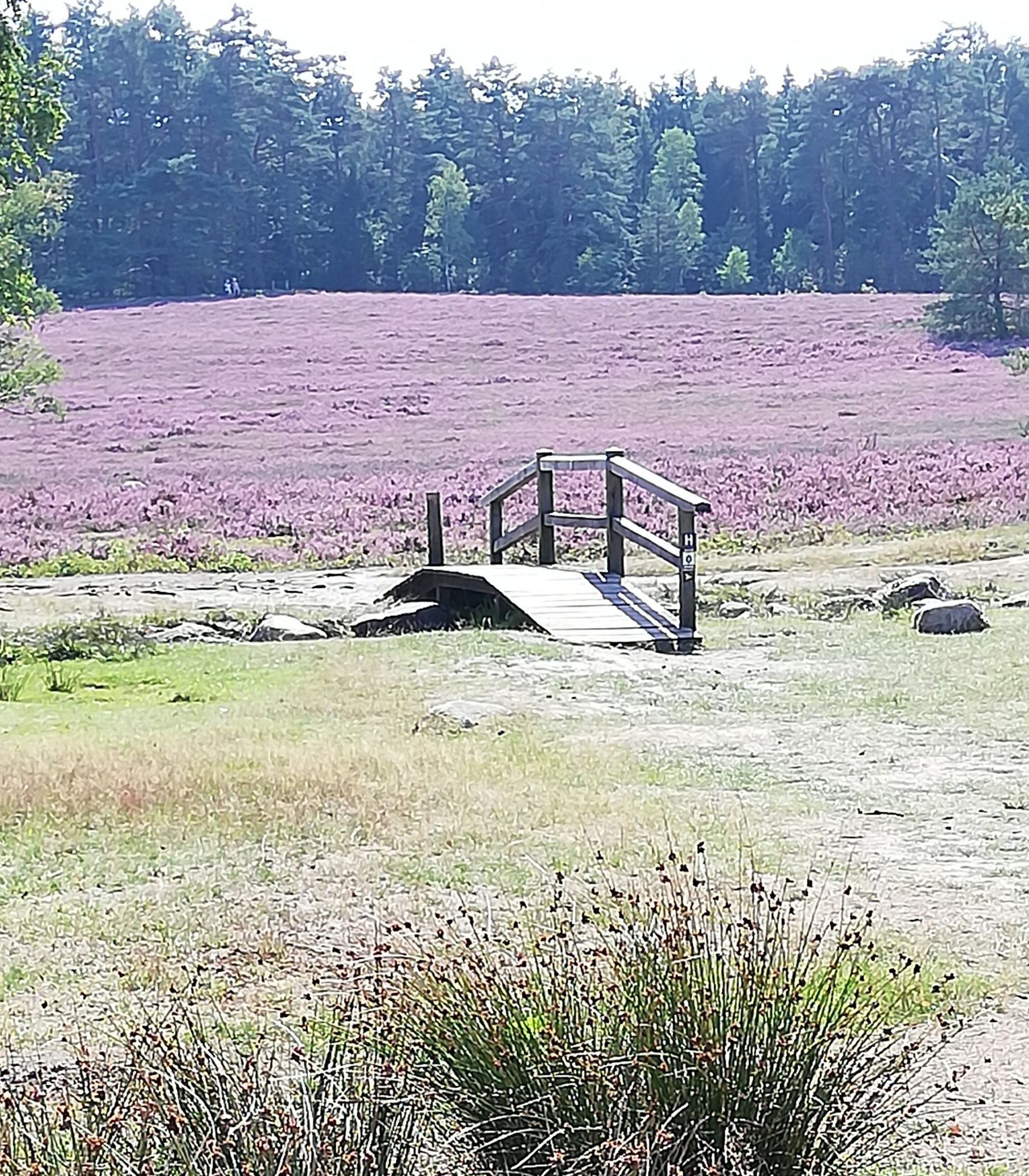 Brücke