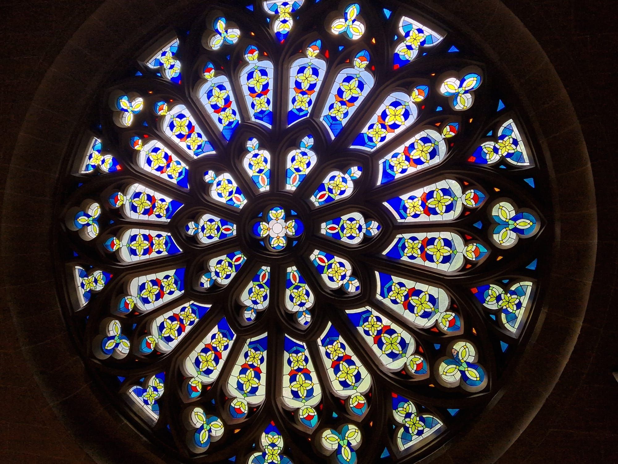Dom zu Erfurt, Rosettenfenster