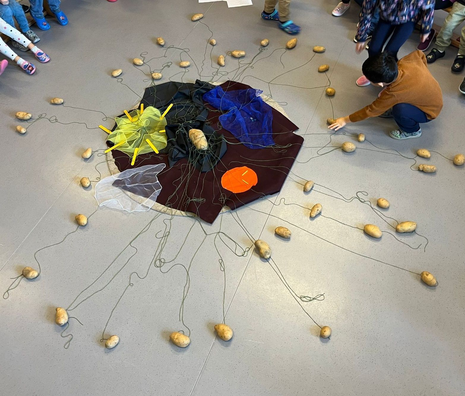 Kartoffelprojekt